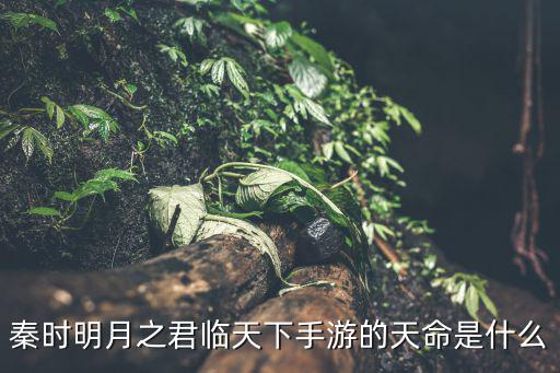 秦时明月之君临天下手游的天命是什么