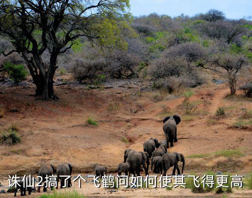 诛仙2搞了个飞鹤问如何使其飞得更高