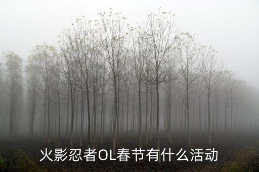 火影忍者OL春节有什么活动