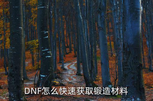 DNF怎么快速获取锻造材料