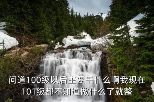 手游问道100级以后怎么玩，问道我到100级以后该玩什么我一天就2小时游戏时间到了100我该