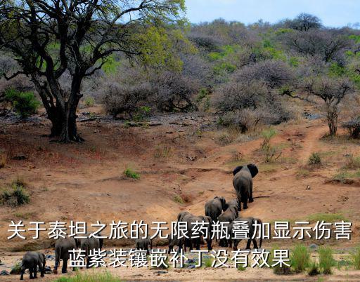 泰坦之旅手游颜色药瓶怎么使用，泰坦旅的染色剂什么用