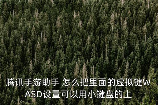 腾讯手游助手 怎么把里面的虚拟键WASD设置可以用小键盘的上