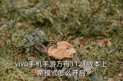 vivo手机手游方舟1121版本上帝模式怎么开启