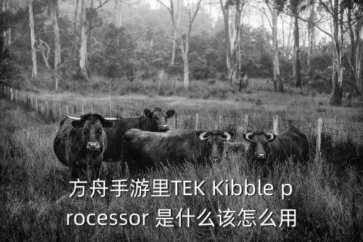 方舟手游高级泰克装备图纸怎么刷，方舟手游里TEK Kibble processor 是什么该怎么用