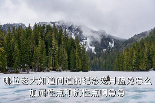 哪位老大知道问道的纪念宠月蓝兔怎么加属性点和抗性点啊急急