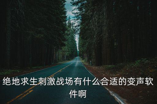 绝地求生刺激战场有什么合适的变声软件啊