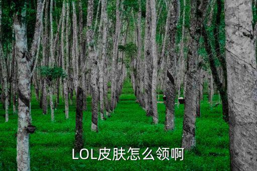 LOL皮肤怎么领啊