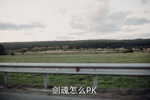 剑魂怎么PK