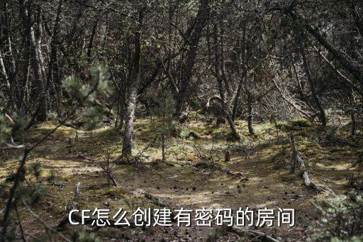 CF怎么创建有密码的房间