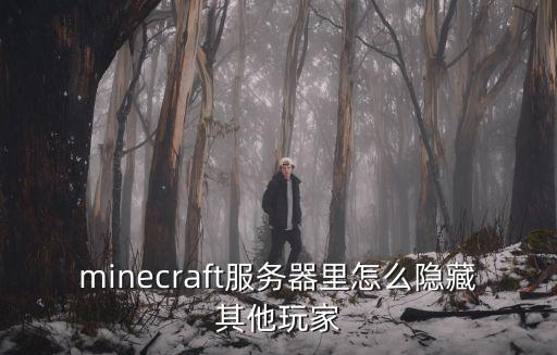 minecraft服务器里怎么隐藏其他玩家