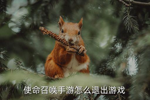 使命召唤手游怎么退出游戏