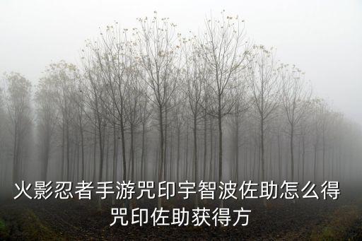 火影忍者手游咒印宇智波佐助怎么得 咒印佐助获得方