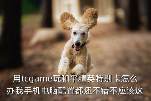 用tcgame玩和平精英特别卡怎么办我手机电脑配置都还不错不应该这