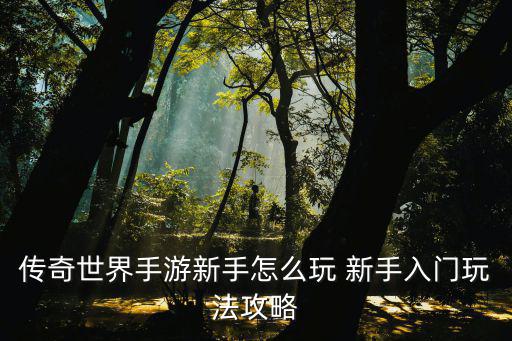 传奇世界手游新手怎么玩 新手入门玩法攻略