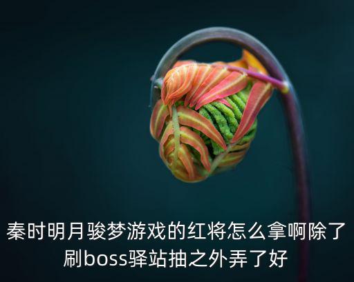 秦时明月骏梦游戏的红将怎么拿啊除了刷boss驿站抽之外弄了好