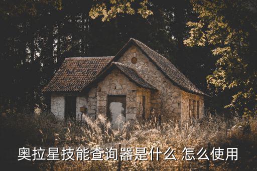 奥拉星技能查询器是什么 怎么使用