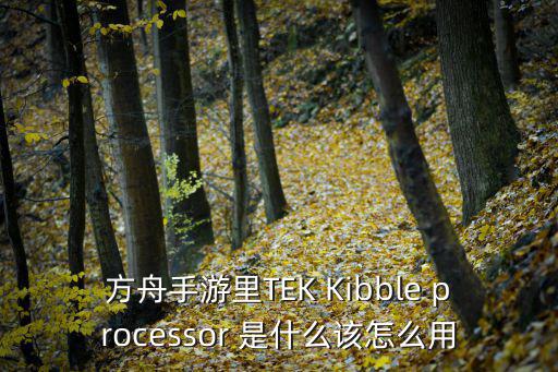 方舟手游里TEK Kibble processor 是什么该怎么用