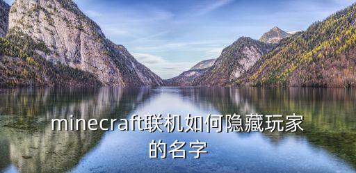 minecraft联机如何隐藏玩家的名字