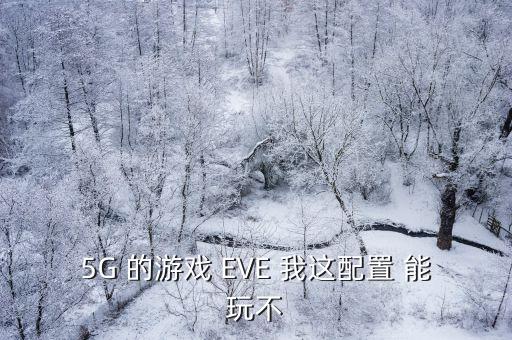 5G 的游戏 EVE 我这配置 能玩不