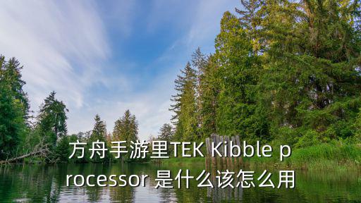 方舟手游巨型围墙怎么建，方舟手游里TEK Kibble processor 是什么该怎么用