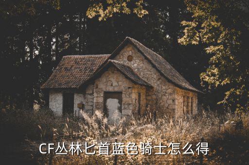 CF丛林匕首蓝色骑士怎么得