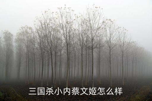 三国杀小内蔡文姬怎么样