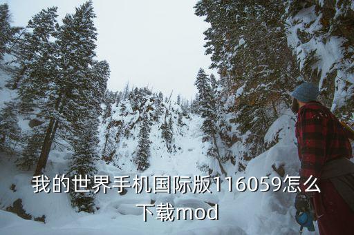 我的世界手机国际版116059怎么下载mod