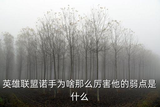 英雄联盟诺手为啥那么厉害他的弱点是什么