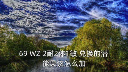 69 WZ 2耐2体1敏 兑换的潜能果该怎么加