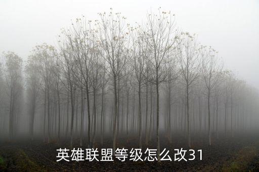 英雄联盟等级怎么改31