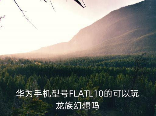 华为手机型号FLATL10的可以玩龙族幻想吗