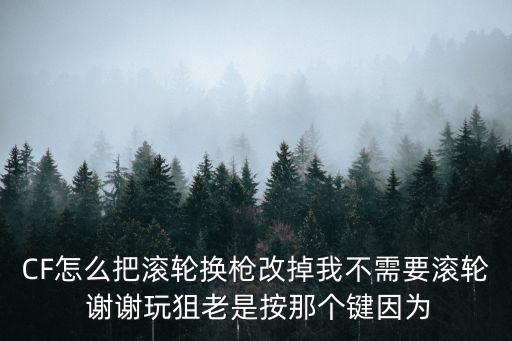 CF怎么把滚轮换枪改掉我不需要滚轮 谢谢玩狙老是按那个键因为