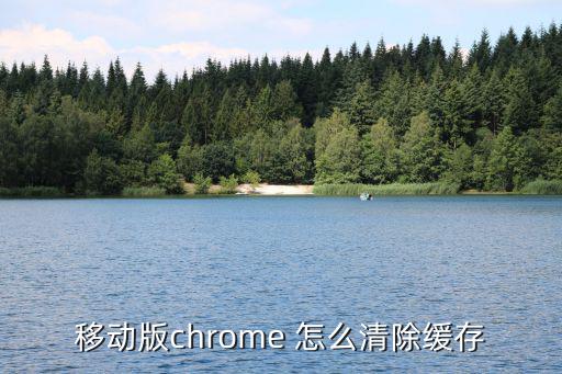 移动版chrome 怎么清除缓存