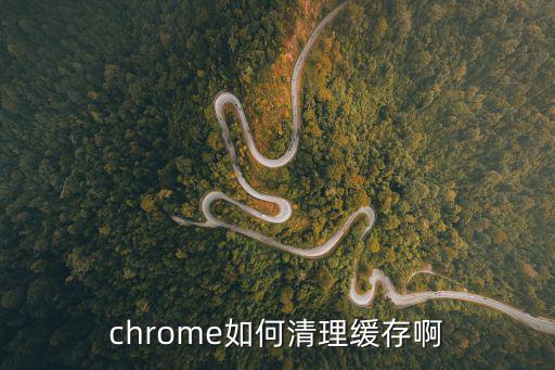 chrome如何清理缓存啊