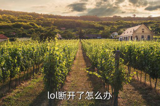 lol断开了怎么办