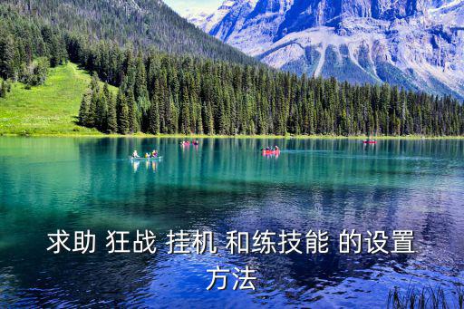 问道手游狂战技能怎么设置，求助 狂战 挂机 和练技能 的设置方法