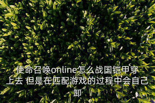 使命召唤online怎么战国铠甲穿上去 但是在匹配游戏的过程中会自己卸