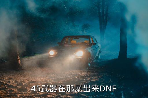 45武器在那暴出来DNF