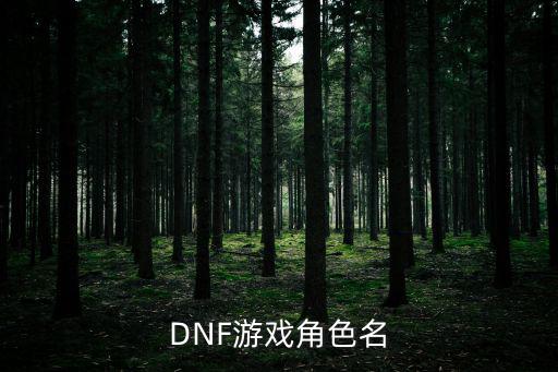 DNF游戏角色名