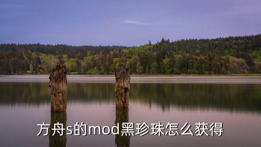 方舟s的mod黑珍珠怎么获得