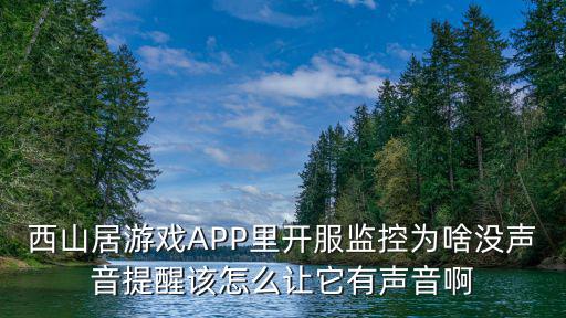 西山居游戏APP里开服监控为啥没声音提醒该怎么让它有声音啊