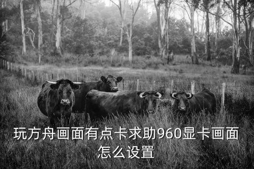 玩方舟画面有点卡求助960显卡画面怎么设置