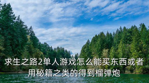 求生之路2单人游戏怎么能买东西或者用秘籍之类的得到榴弹炮