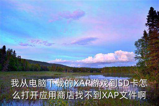 我从电脑下载的XAP游戏到SD卡怎么打开应用商店找不到XAP文件啊