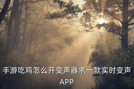 手游吃鸡怎么开变声器求一款实时变声APP