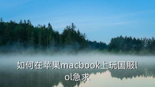 如何在苹果macbook上玩国服lol急求