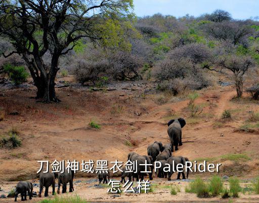 刀剑神域黑衣剑士PaleRider怎么样