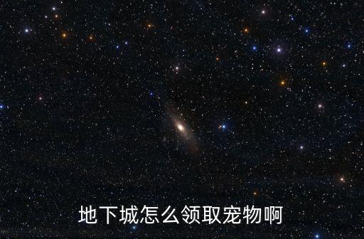 地下城怎么领取宠物啊