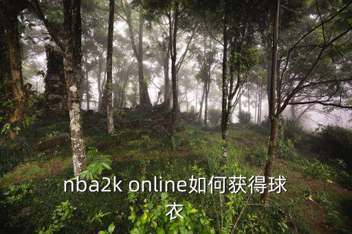 nbaol2手游怎么换球衣，nba2k online如何获得球衣